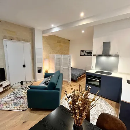 Apartment Grand Loft Vieux Bordeaux